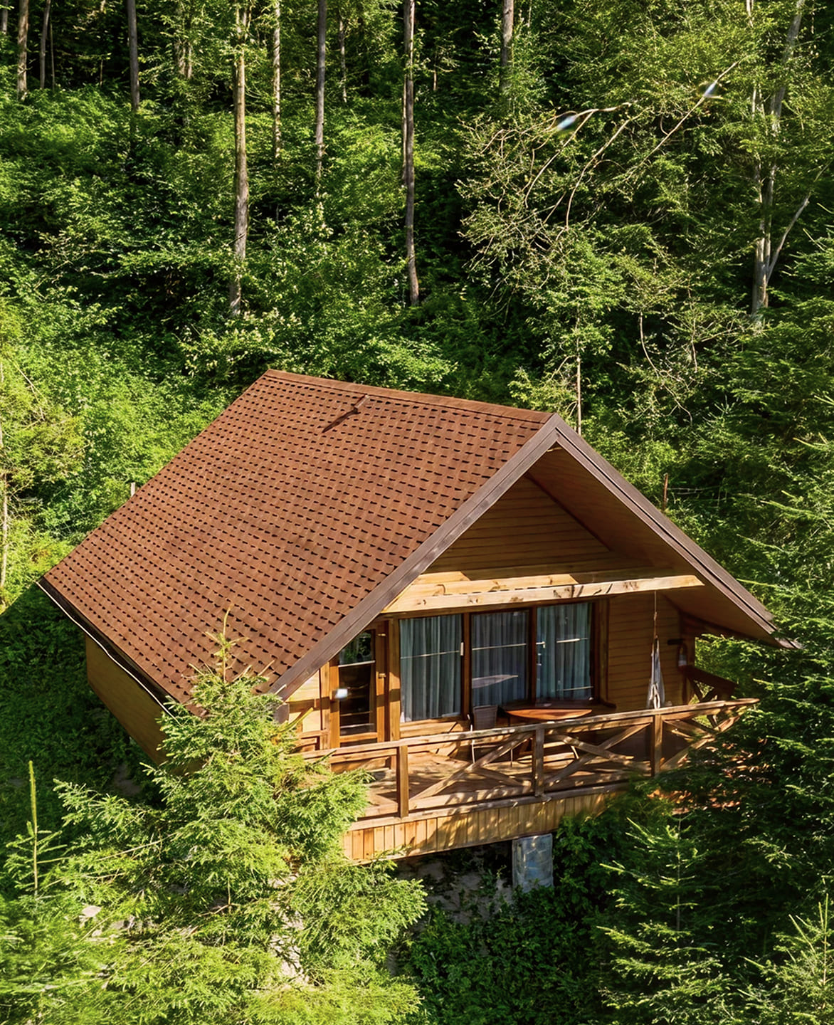 Головна – Зображення 16