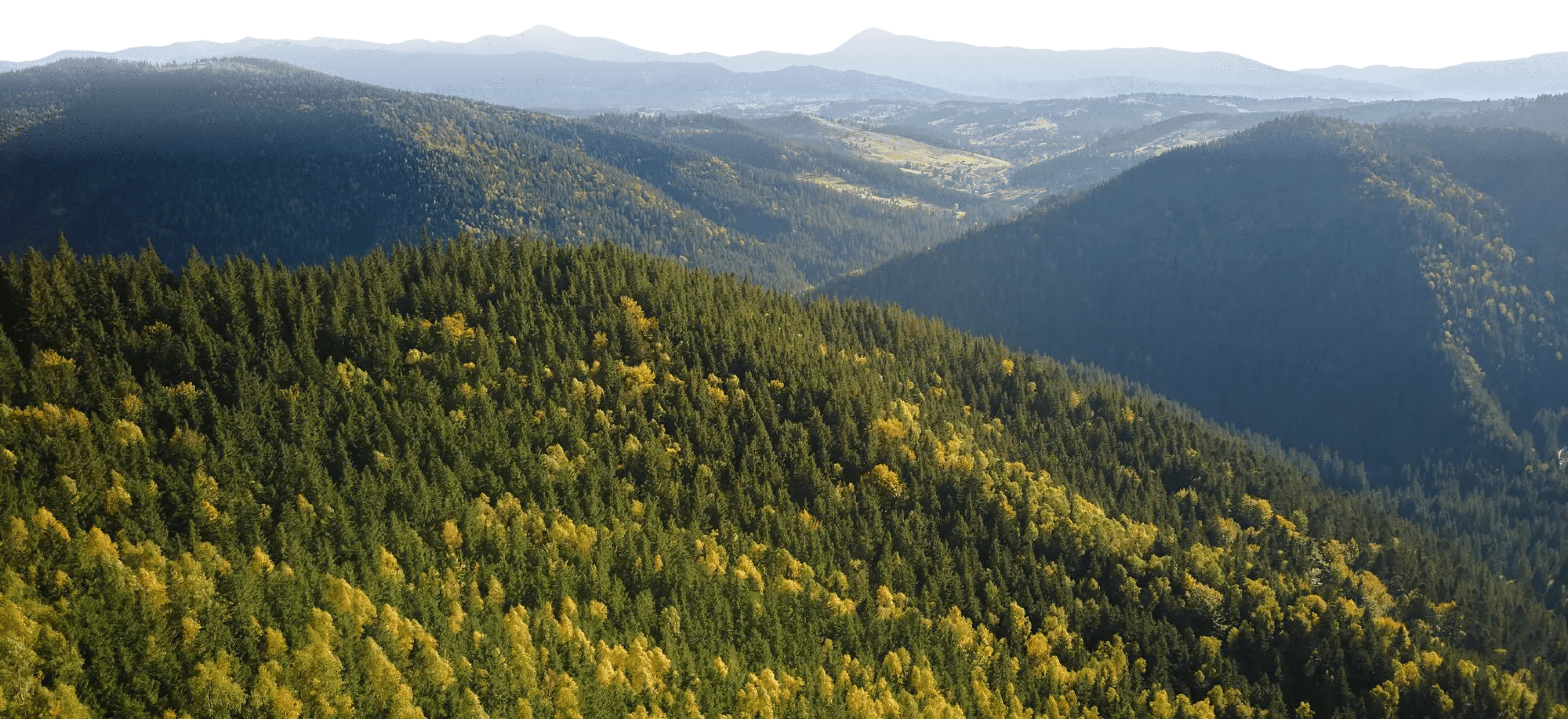 Головна – Зображення 4