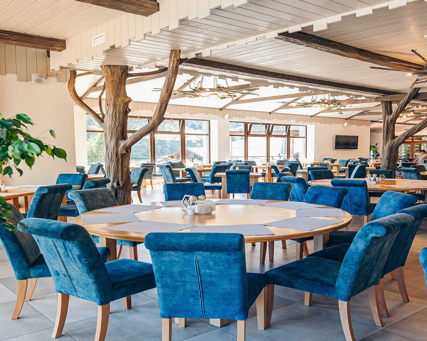 Головна – Зображення 38